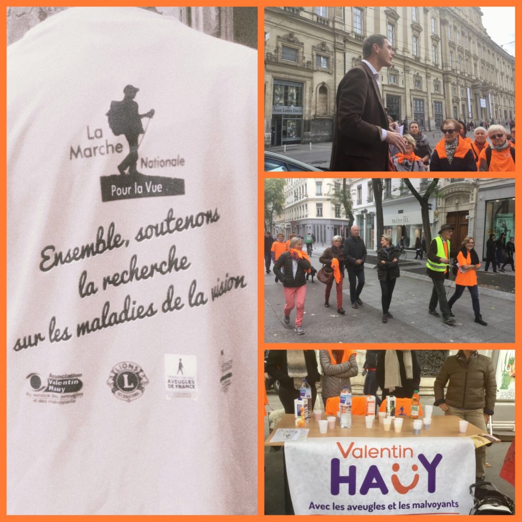 Marche Nationale pour la vue 2017 - Montage photos