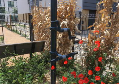 Les Girondines - jardin aménagé