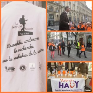 Marche pour la vue 2017 - Montage photos
